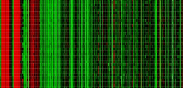 A cropped view of a heat-map visualization of gene expression values. Author provided.