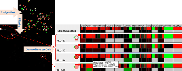 The initial data analysis process presents similarities among members of the population. The closeness of the items indicates greater similarity in their genes. Without the burden of seeing all the genomics data, we can then drill down to the genes of interest for the selected persons. Author provided.